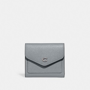 Carteras Pequeñas Coach Wyn Leather Mujer Gris Azules | CL_CH34263