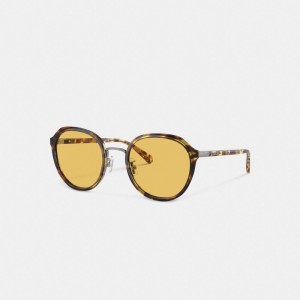 Lentes de Sol Coach Hangtag Geometric Round Honey Mujer Naranjas | CL_CH40408