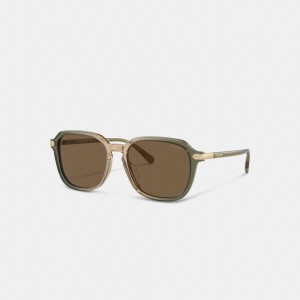 Lentes de Sol Coach Wrap Around Hangtag Keyhole Hombre Verde Marrones | CL_CH84838