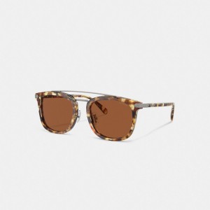 Lentes de Sol Coach Wrap Around Hangtag Browbar Honey Hombre Naranjas | CL_CH14455