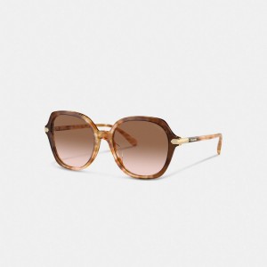 Lentes de Sol Coach Wrap Around Hangtag Oversized Geometric Round Honey Mujer Naranjas | CL_CH70440