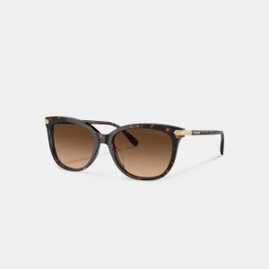 Lentes de Sol Coach Wrap Around Hangtag Square Mujer Marrones | CL_CH82296