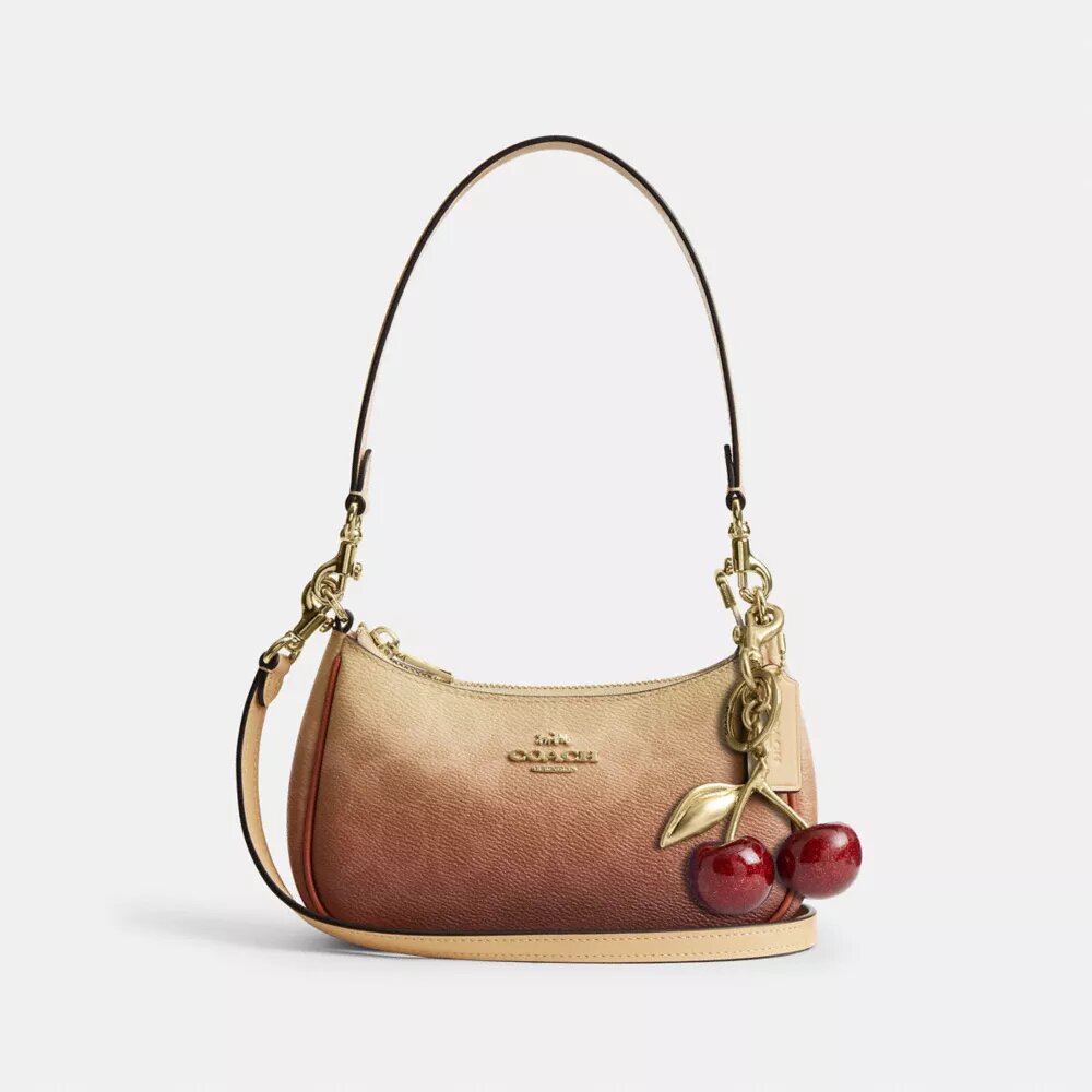 Bolso mini cruzado Teri en lona Signature Canvas
