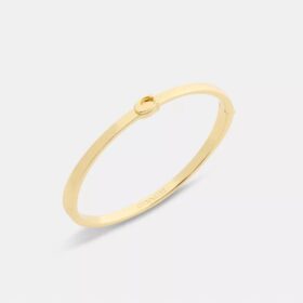 Brazalete delgado con bisagra característico