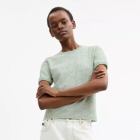 Camisetas Coach