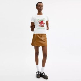 Camisetas Coach