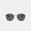 Lentes de sol redondas Windsor de metal