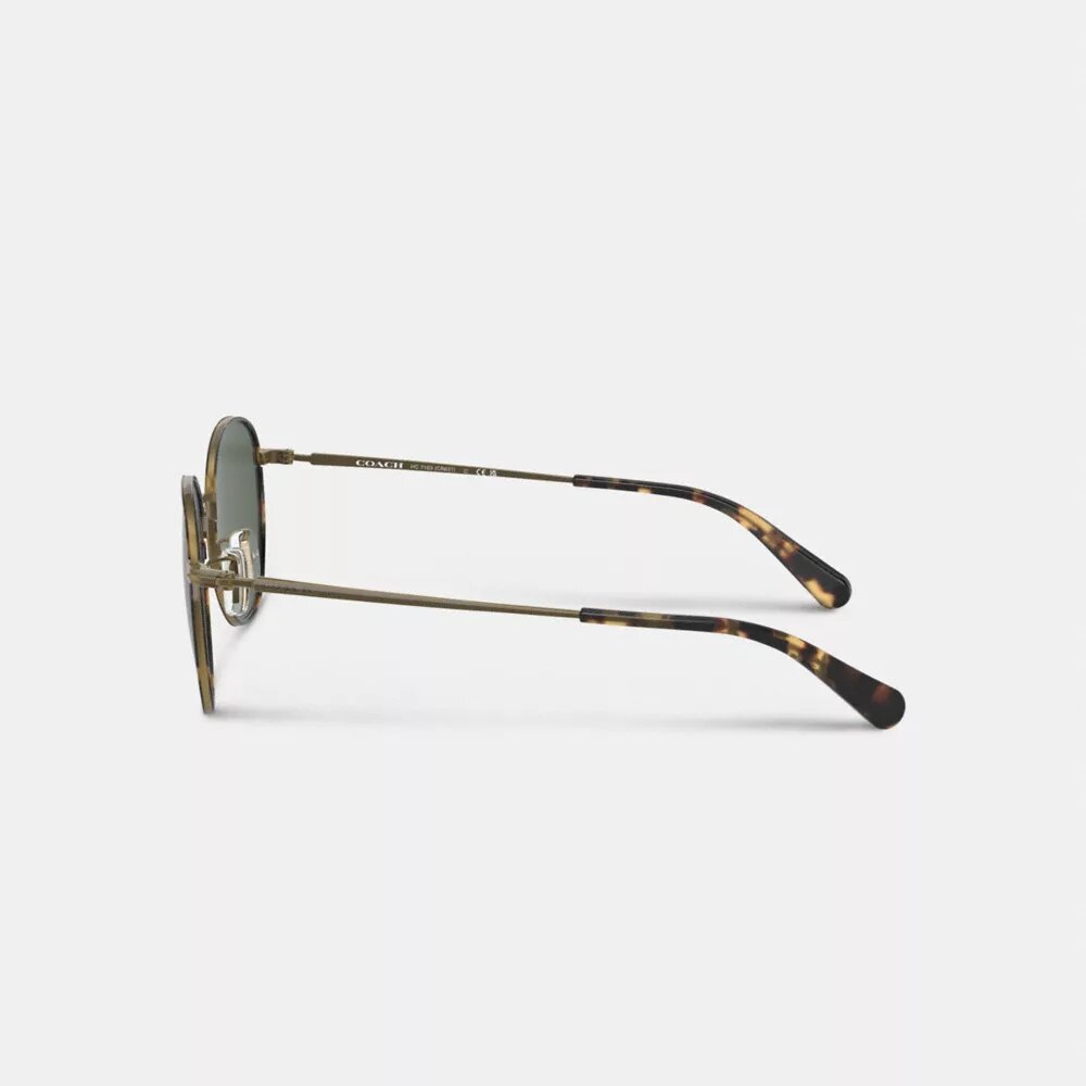 Lentes de sol redondas Windsor de metal
